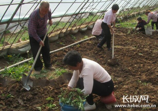 决战脱贫 燕赵决胜 ——河北省凝心聚力决战决胜脱贫攻坚