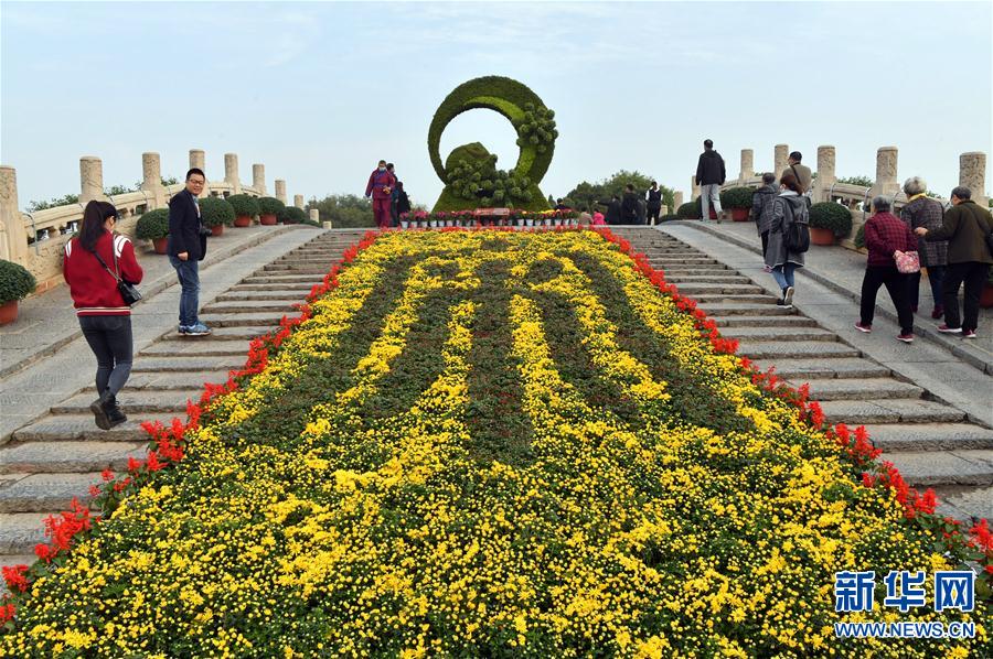 【城市远洋】河南开封：古城菊香迎客来