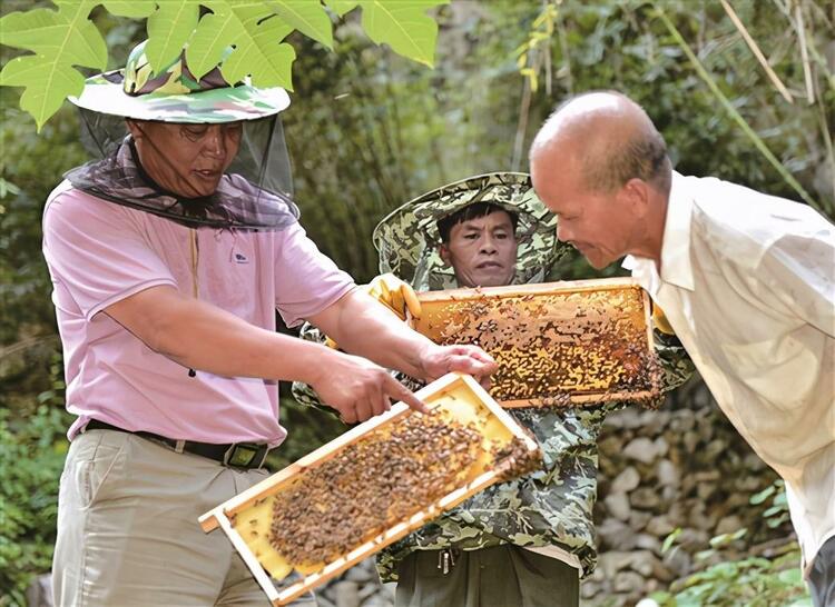 用最好的资源 派最强的力量 攻克最硬的堡垒 5年减贫近40万人的南宁实践