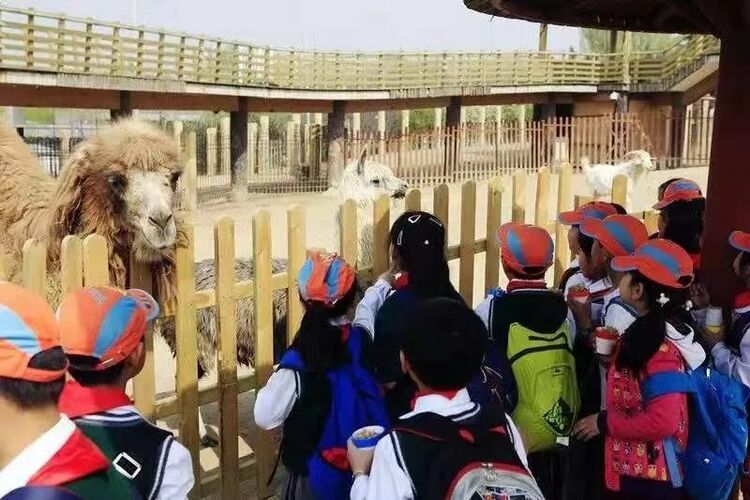 首批入选！西安世博园成为西安研学旅行实践教育基地