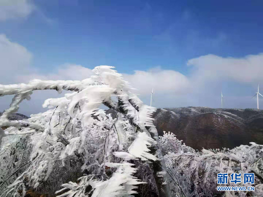 桂林全州出现雾凇美景