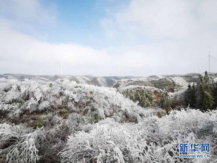 桂林全州出现雾凇美景