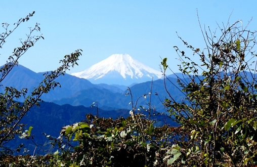 到八王子・高尾山地区拥抱东京大自然