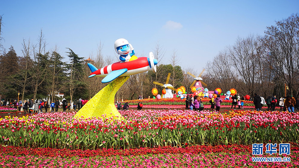 武汉：郁金香花开艳丽吐芬芳