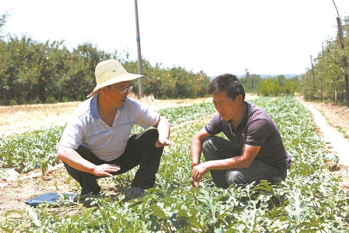 志胜贫困拔穷根 智汇合力奔小康——记陕西省脱贫攻坚贡献奖获得者、国网宝鸡供电公司电力电气公司副经理张刚