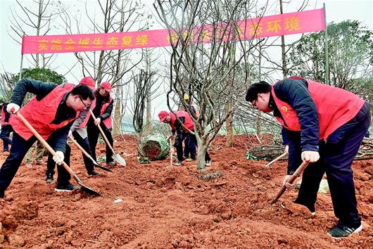 湖北宜昌：一岸翠绿添神韵 生态修复换新颜