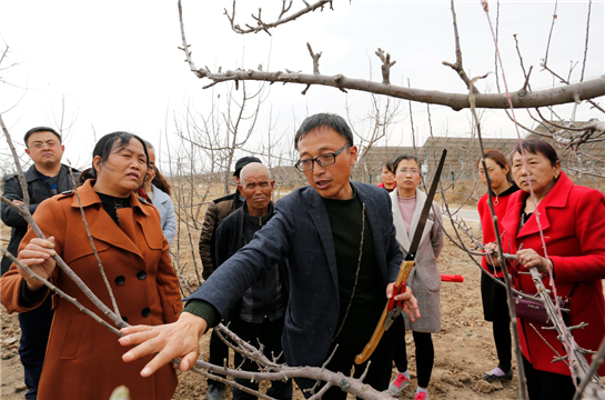 陕西白水：田间地头教技术