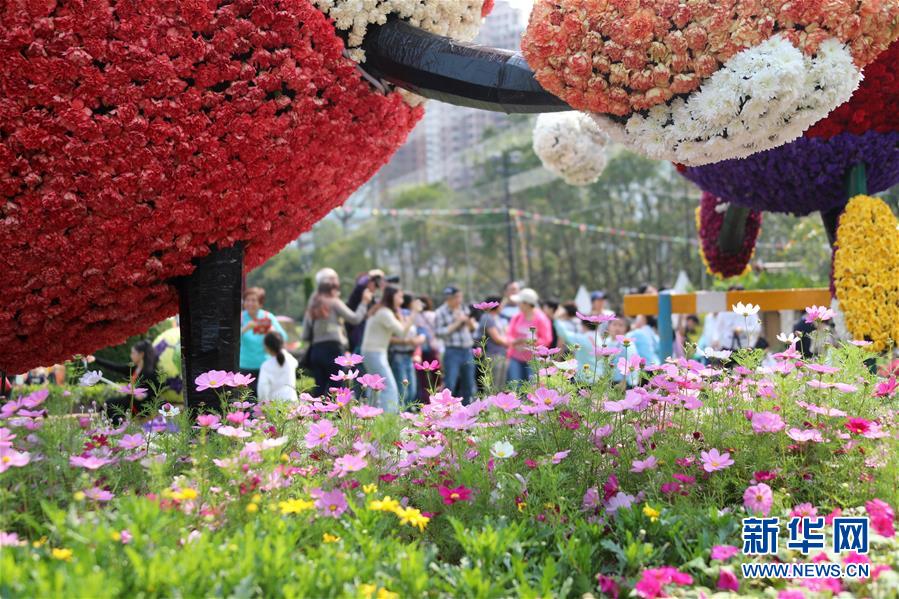 香港：鲜花醉游人