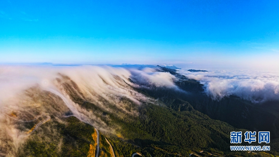 广西大明山：秋云成海 蔚为壮观