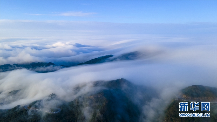 广西大明山：秋云成海 蔚为壮观