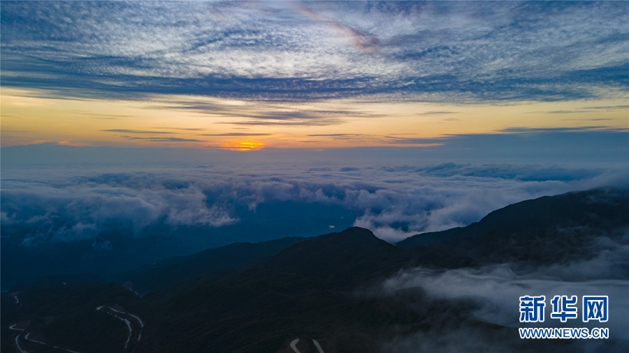 广西大明山：秋云成海 蔚为壮观