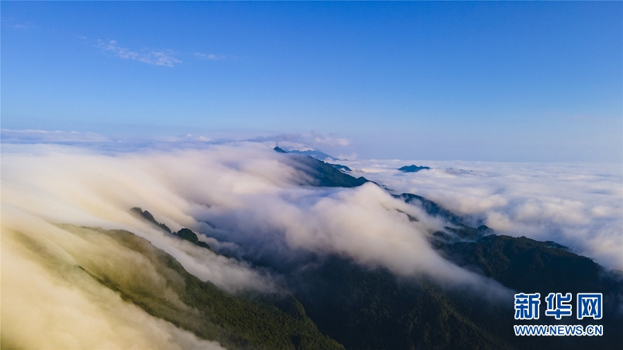 广西大明山：秋云成海 蔚为壮观