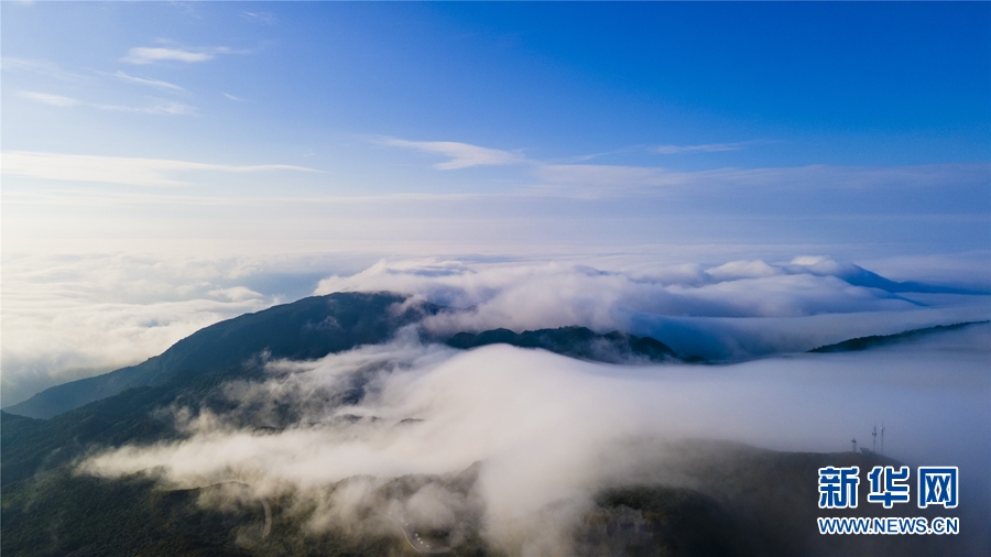 广西大明山：秋云成海 蔚为壮观