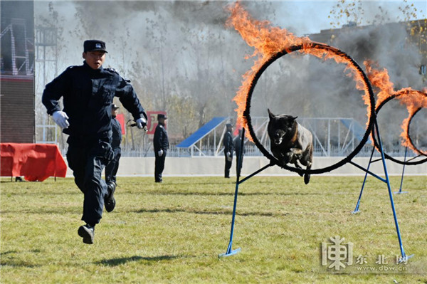 超燃！黑龙江出入境边防检查总站完成业务比武竞赛