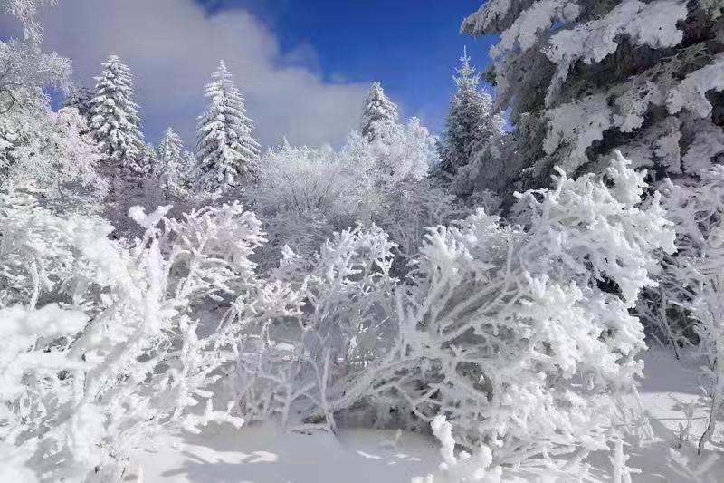 吉林安图老岭雪乡起欢声