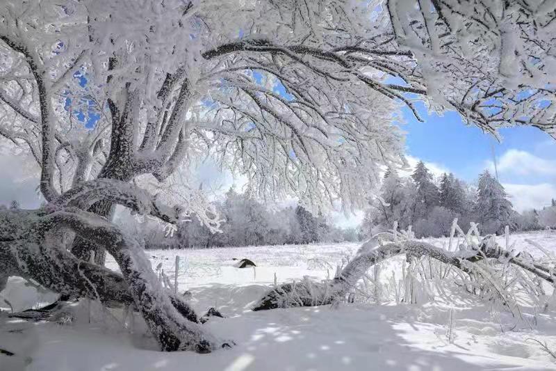 吉林安图老岭雪乡起欢声