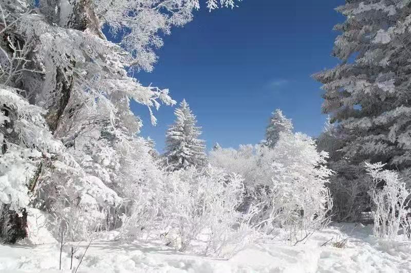 吉林安图老岭雪乡起欢声