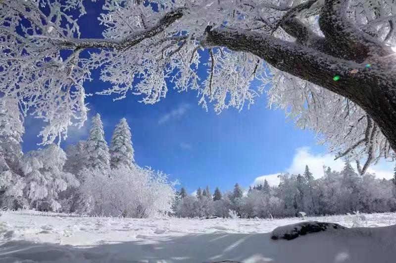 吉林安图老岭雪乡起欢声