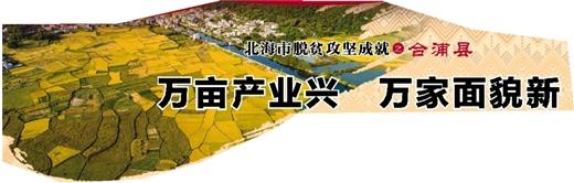 北海市脱贫攻坚成就之合浦县 万亩产业兴 万家面貌新