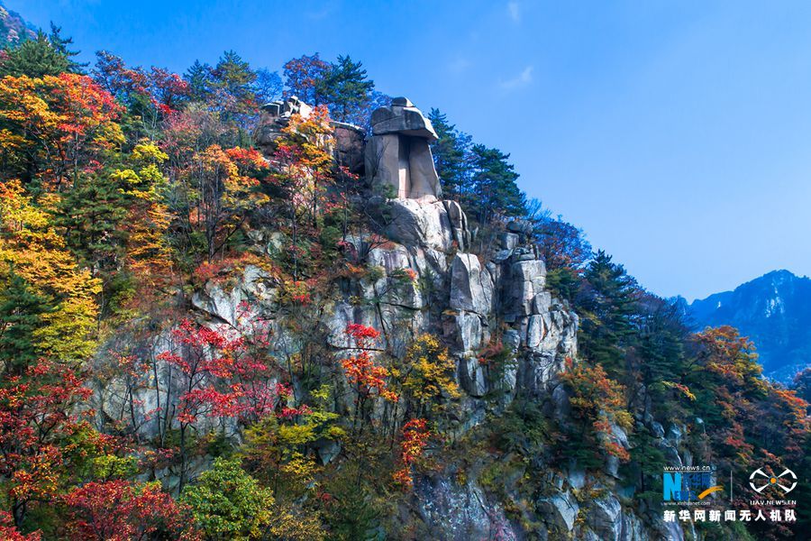 【城市远洋】河南鲁山：醉美尧山层林尽染