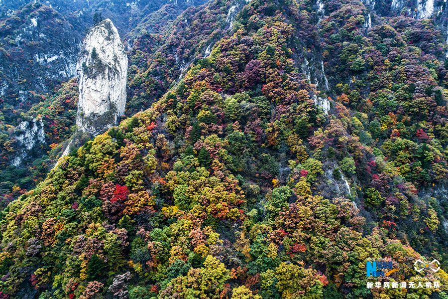 【城市远洋】河南鲁山：醉美尧山层林尽染