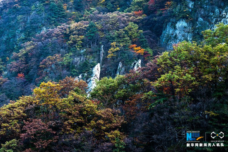 【城市远洋】河南鲁山：醉美尧山层林尽染