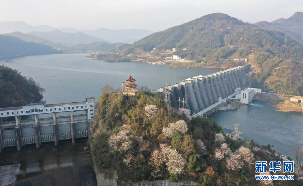 安徽航拍：樱花开遍大别山