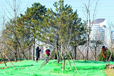 北京城区东南部新增三大郊野公园