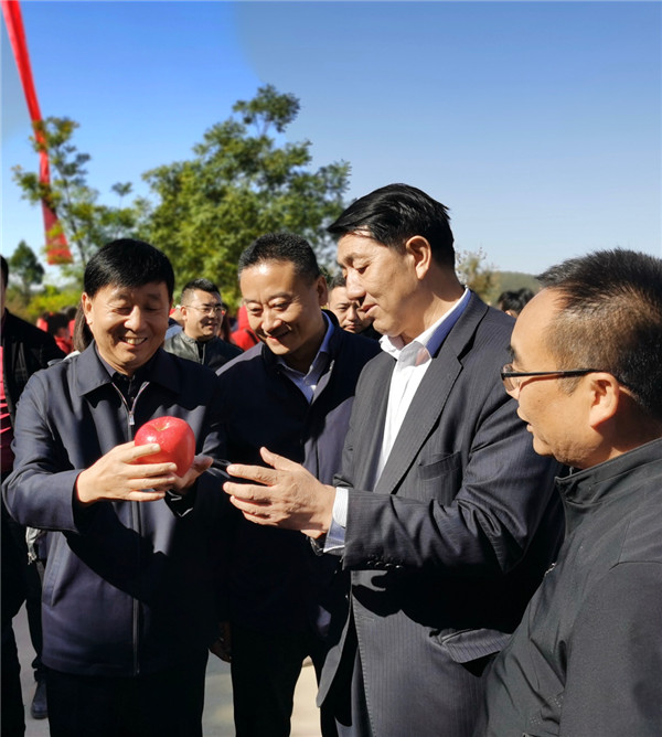 （有修改）延安市第四届延安苹果采摘节活动启动