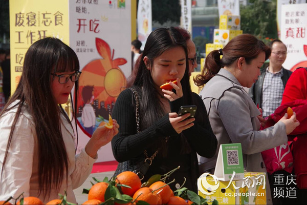 【区县联动】【奉节】奉节脐橙熟了 网上订购快递到家