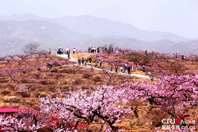 【焦点图-大图】【移动端-焦点图】【图说2】平顶山鲁山发展农家乐 文化旅游促增收