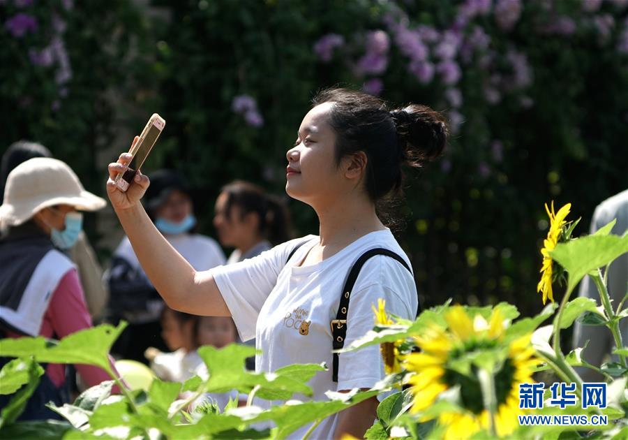 游园赏花度周末