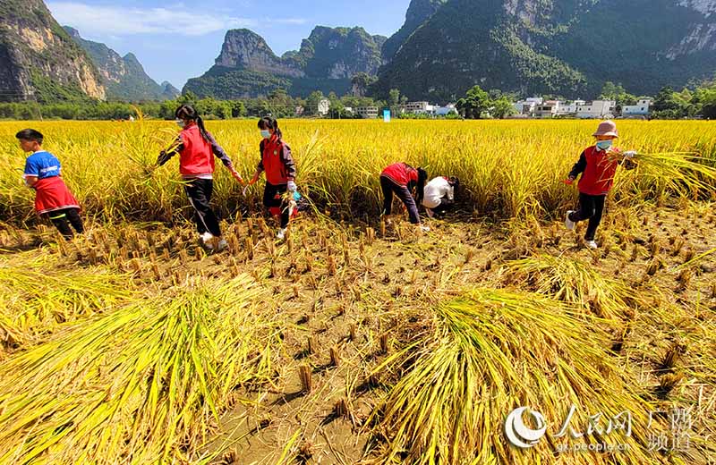 中国大新·明仕旅游度假区丰收节开幕