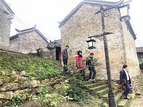 香葱地里出财富　乡村旅游添动能