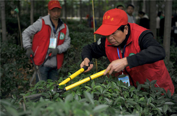 （“周至好阿美月嫂”  已确认）西安市周至县：以赛促训稳就业打造优质劳务品牌