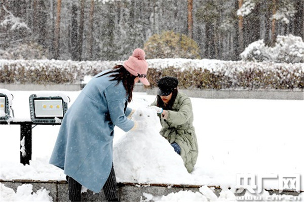 黑龙江漠河：迎入秋以来最大降雪 雪深超10厘米_fororder_W020201027518124797860