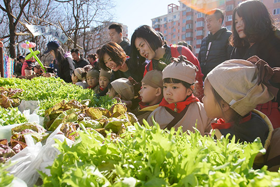 北京丰台：逛玩郭庄子农时荟 尽享春天的乐趣