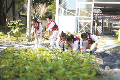 长三角成立中小学德育工作联盟 推进更高起点育人格局