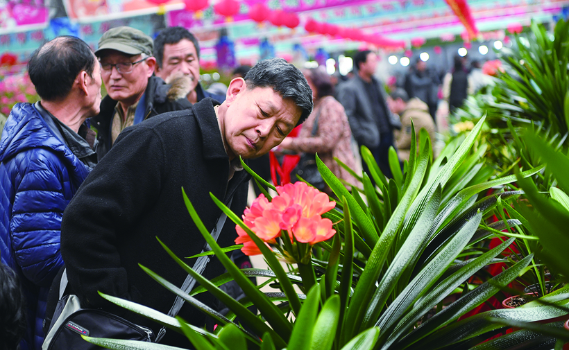 第十五届长春君子兰节开幕