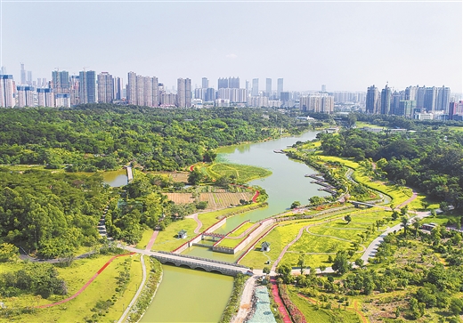 南宁沙江河湿地公园进入运营和维护阶段