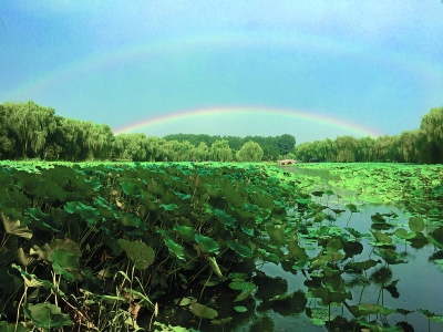 彩虹当空照 雷雨频繁扰