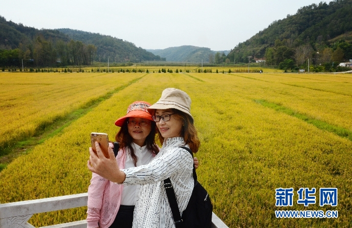 山梁沟峁间绘就脱贫致富新画卷