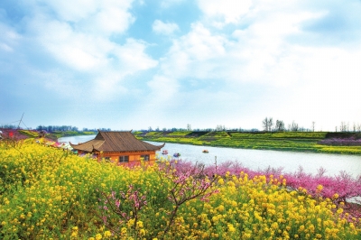 【旅游资讯-图片（页面标题：周口西华：万亩桃花灼灼开）】周口西华：万亩桃花灼灼开 含苞满枝待君来