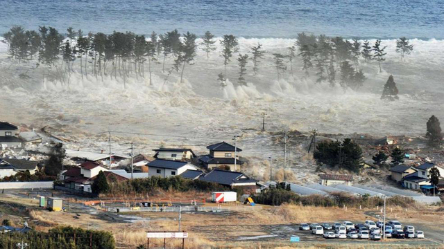 海啸四周年：日本志愿者仍在寻找遇难者遗体