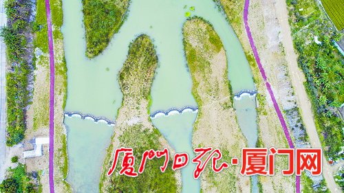 【要闻】【厦门】【移动版】【滚动新闻】【Chinanews带图】厦门大力维护水生态 持续提升城乡水资源保障能力