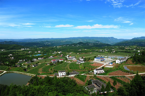 22 Foreign Media Visiting the Hometown of Pandas Online, Focusing on the Poverty Alleviation Achievements in Sichuan