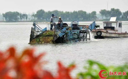 长三角区域全国人大代表首次联合调研“太湖水环境治理”