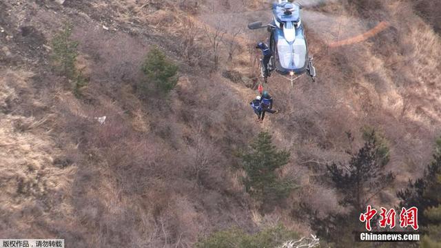 德翼航空客机坠毁首批飞机残骸照片曝光