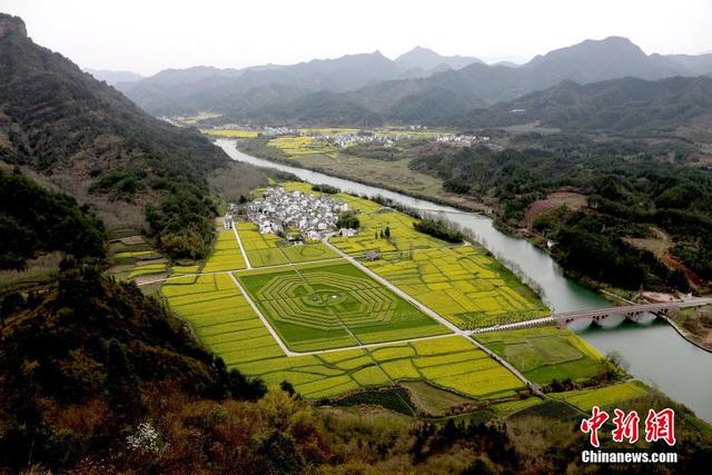 安徽油菜花田现巨型"太极八卦图"