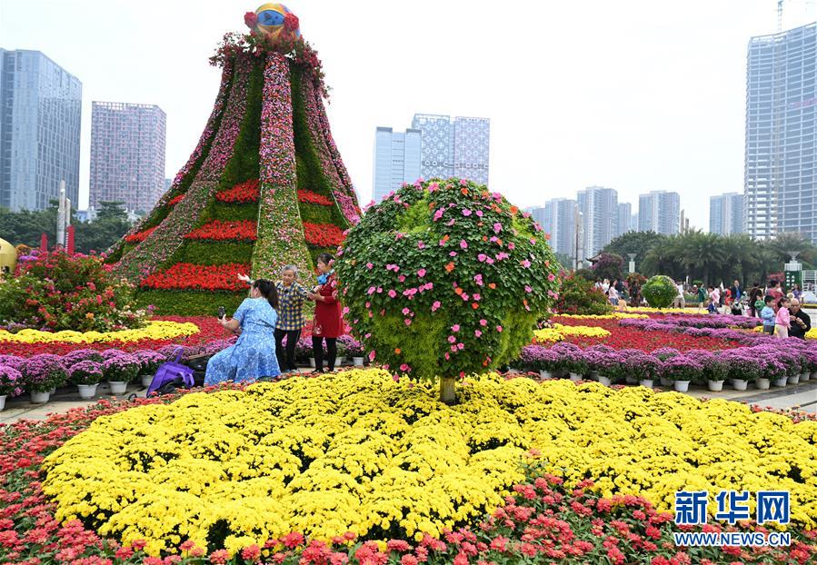 广西柳州：深秋花卉展迎客来